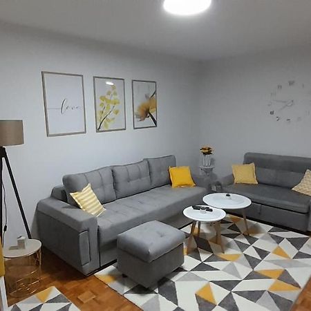 Cozy And Sunny Apartment Near The Airport Sarajevo Exterior photo